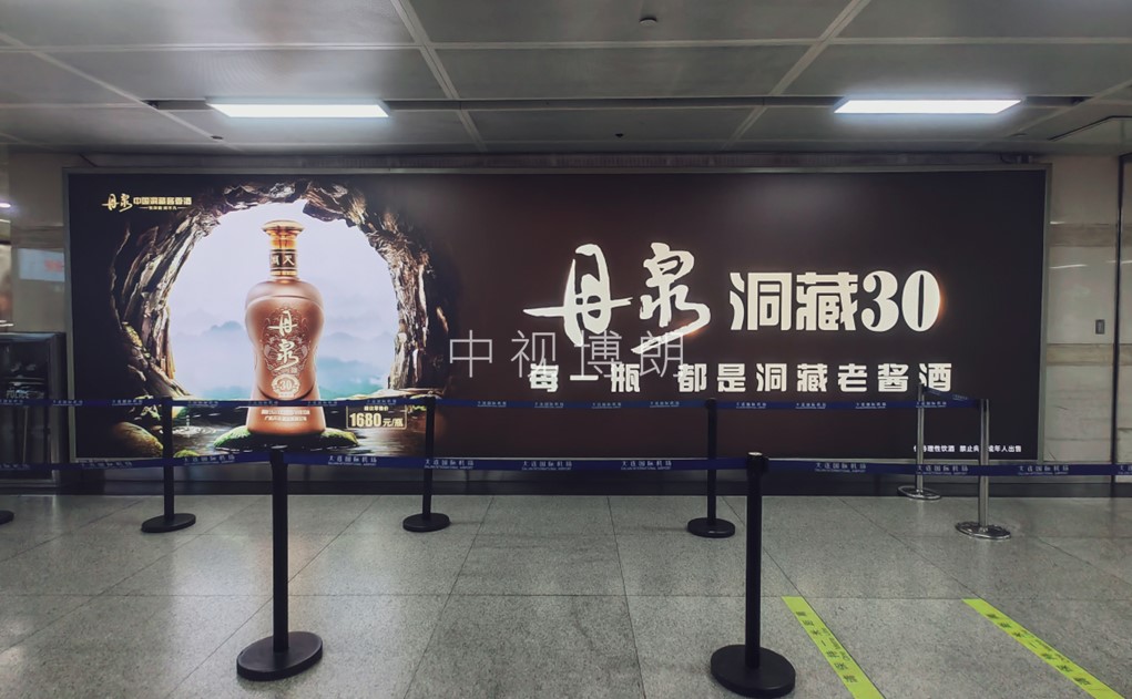 大连机场广告-一层到达通廊D21