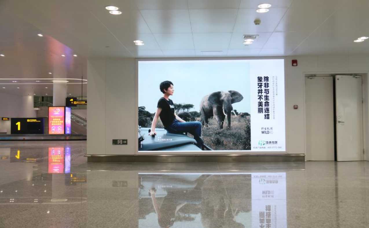 桂林机场广告-行李厅出口墙面灯箱A19