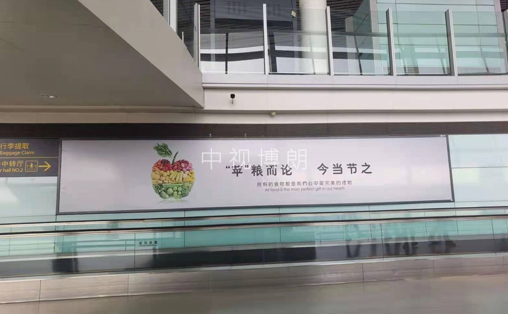 天津机场广告-到达通廊灯箱D037